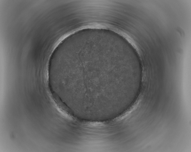 X0000111000837200907022135