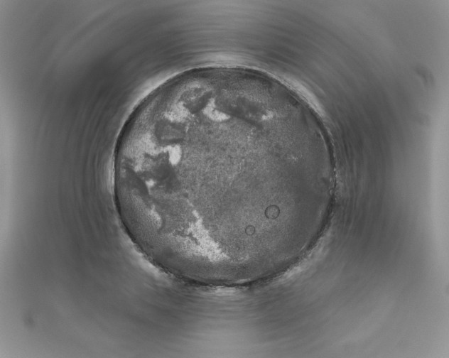 X0000111000839200907022135