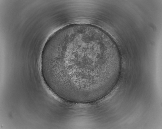 X0000111000840200907022135