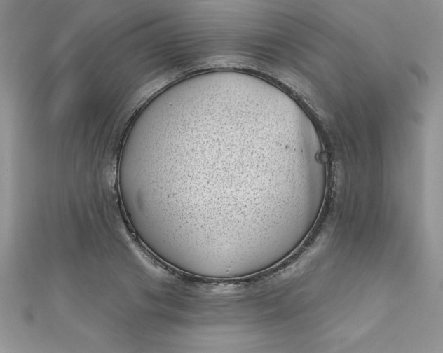 X0000111000841200907022135