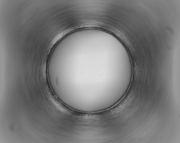 X0000111000842200907022135