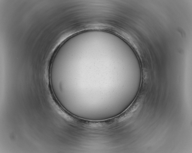 X0000111000843200907022135