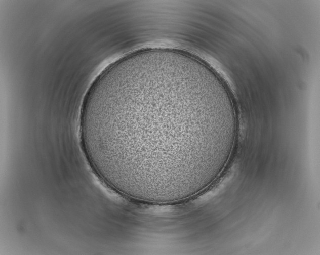 X0000111000845200907022135