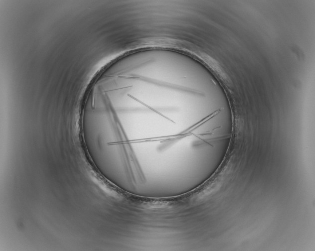 X0000111000846200907022135