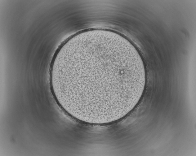 X0000111000848200907022135