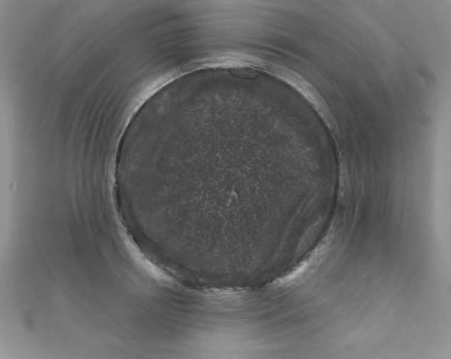 X0000111000850200907022135