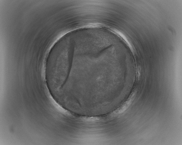 X0000111000851200907022135