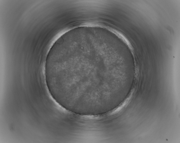 X0000111000855200907022135