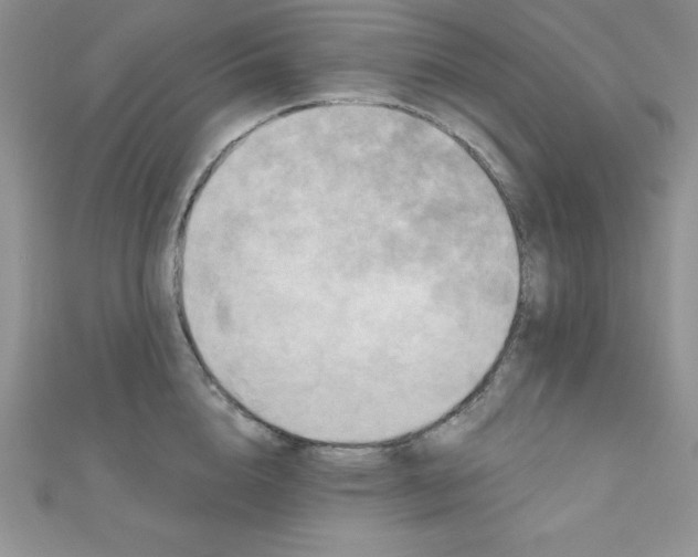 X0000111000856200907022135