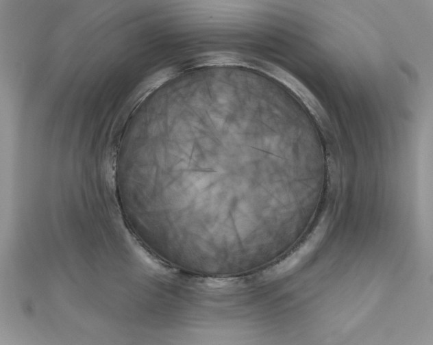 X0000111000857200907022135