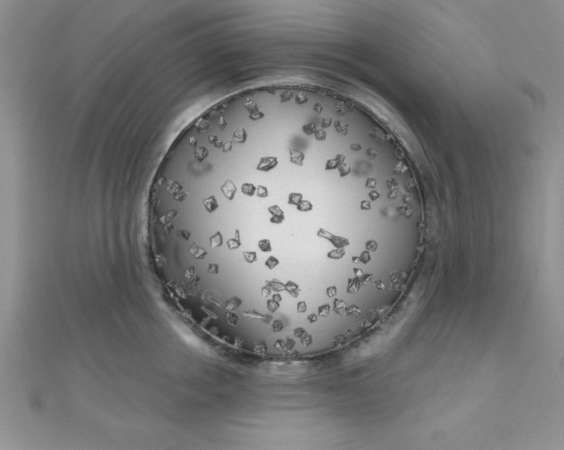 X0000111000858200907022135