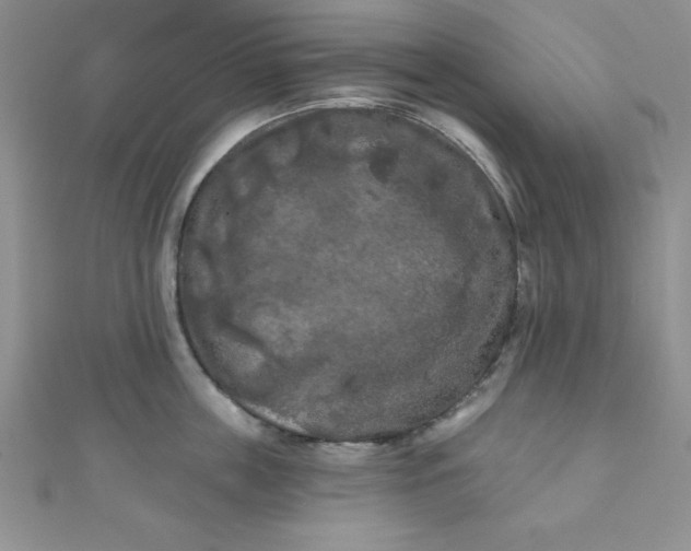 X0000111000859200907022135