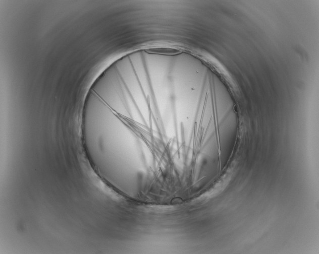 X0000111000860200907022135