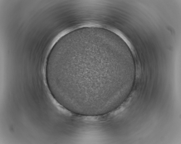 X0000111000861200907022135