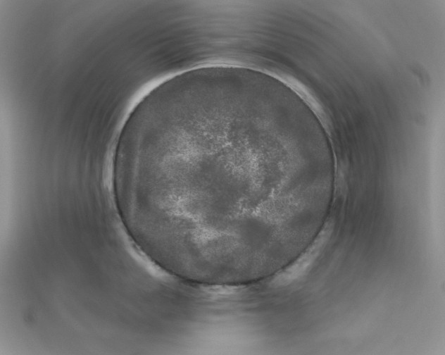 X0000111000862200907022135