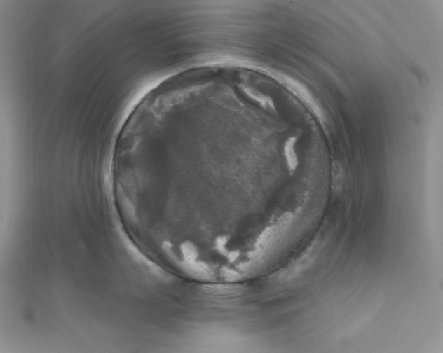 X0000111000863200907022135