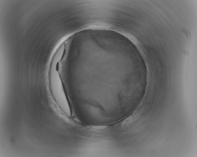 X0000111000864200907022135