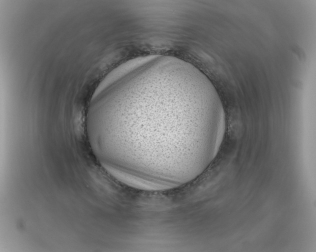 X0000111000866200907022135