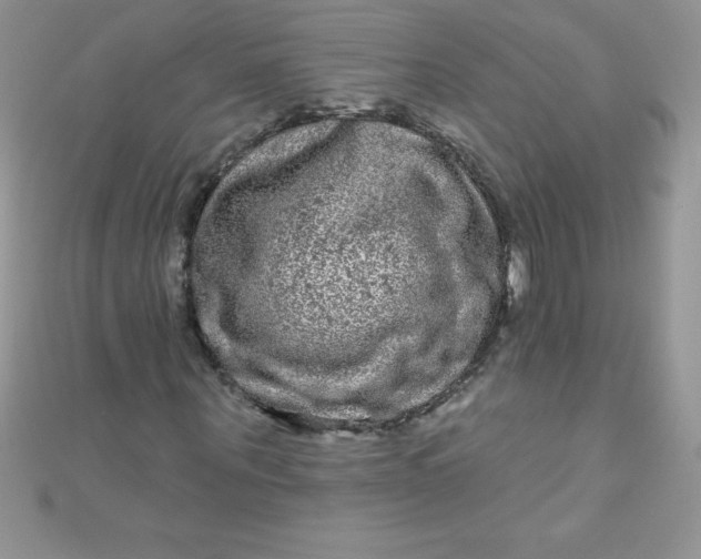 X0000111000867200907022135