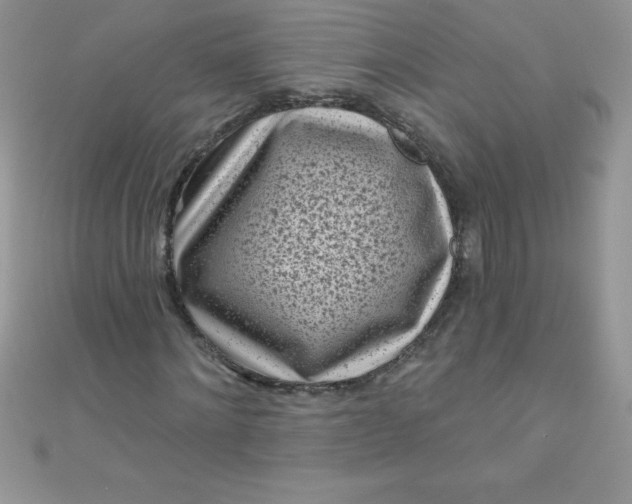 X0000111000868200907022135