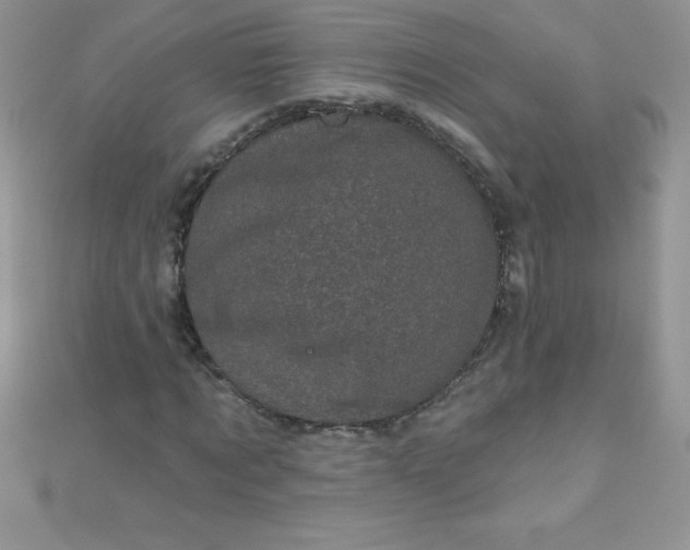 X0000111000869200907022135