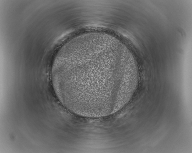 X0000111000870200907022135