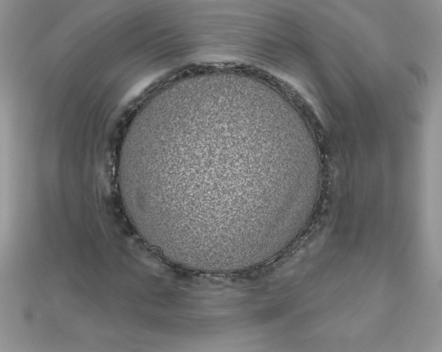 X0000111000871200907022135