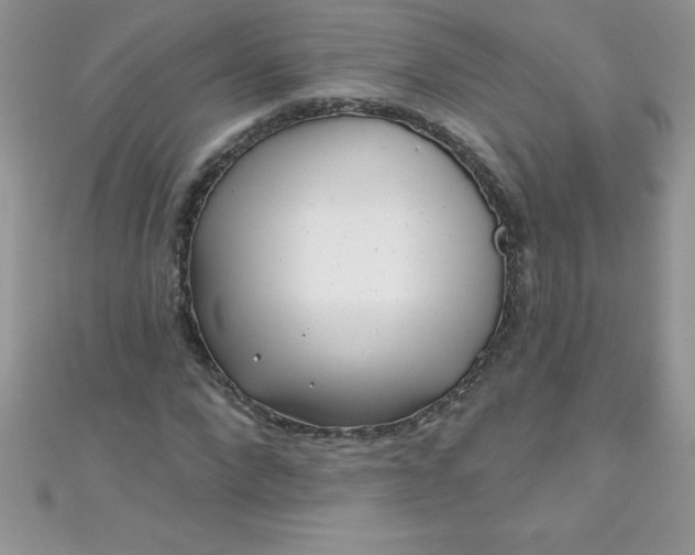 X0000111000872200907022135