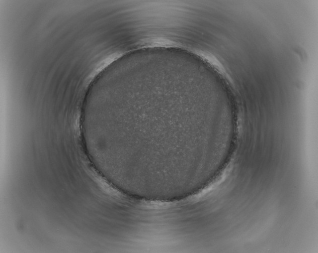 X0000111000873200907022135