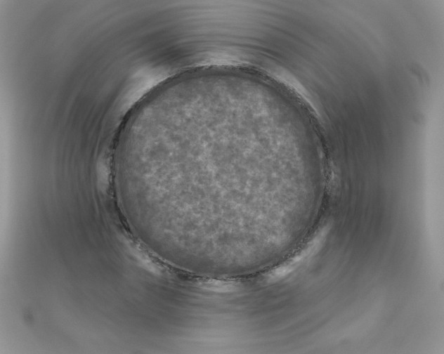 X0000111000874200907022135