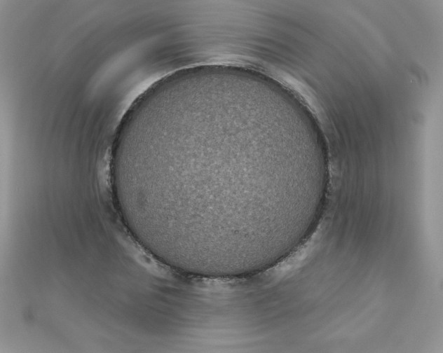 X0000111000875200907022134