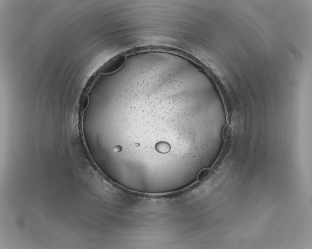 X0000111000877200907022134