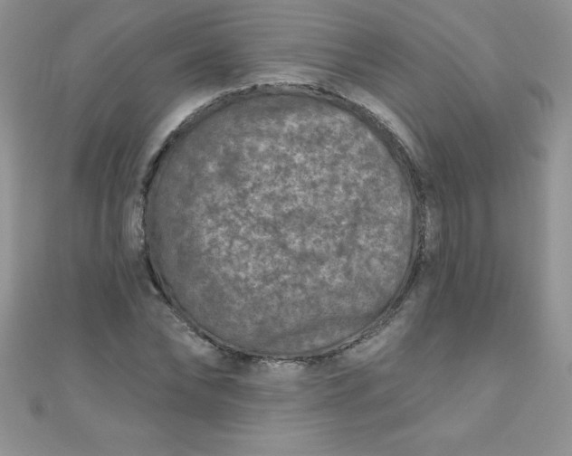 X0000111000878200907022134