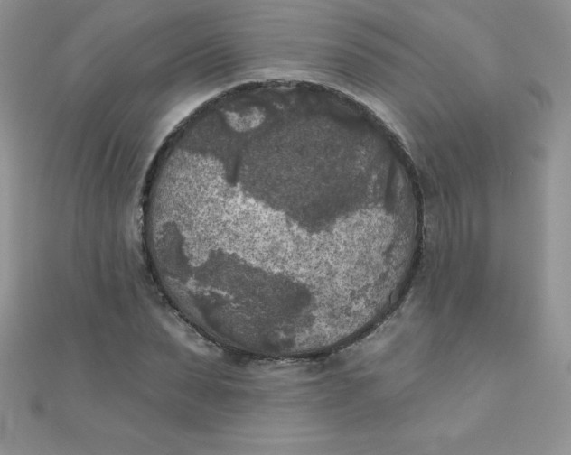 X0000111000879200907022134