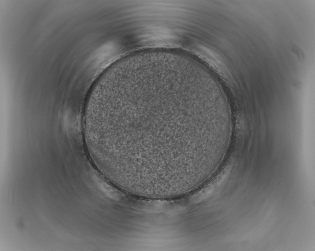 X0000111000881200907022134