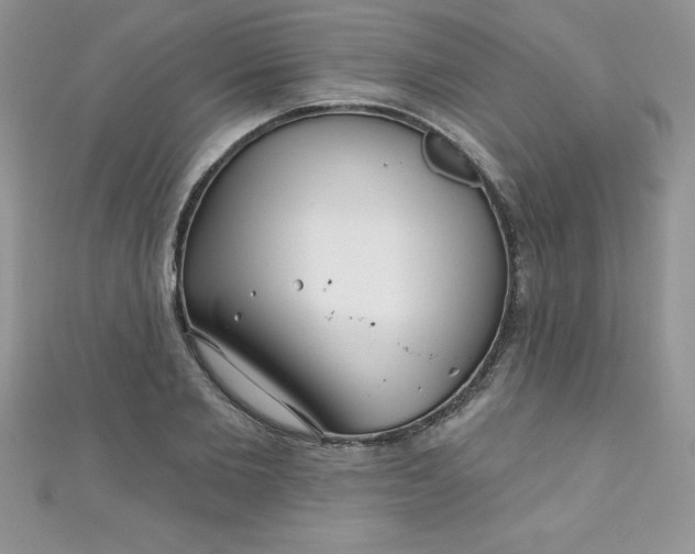 X0000111000885200907022134