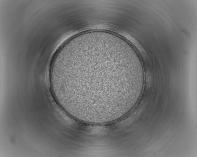 X0000111000886200907022134