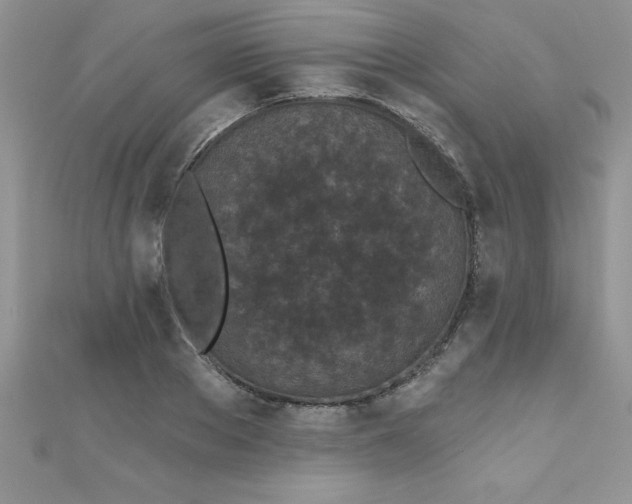 X0000111000889200907022134