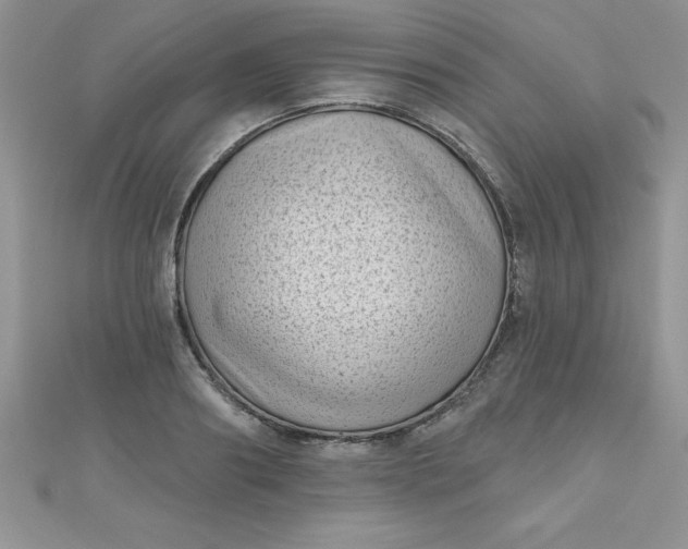 X0000111000890200907022134