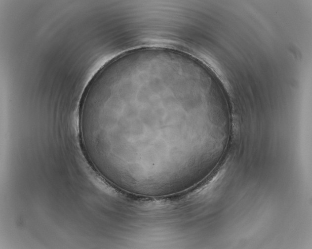 X0000111000891200907022134