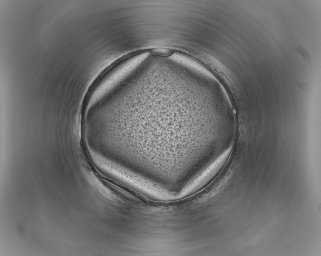 X0000111000892200907022134