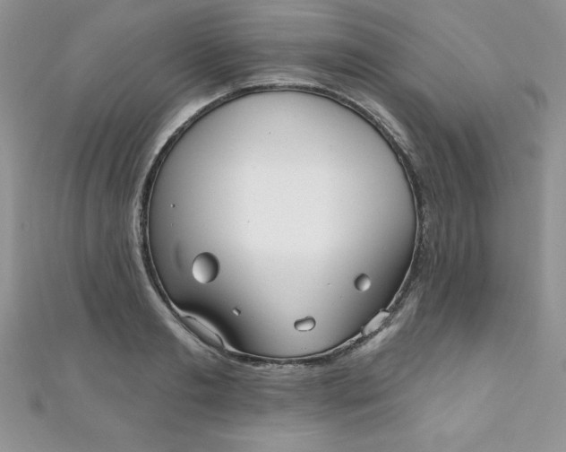 X0000111000893200907022134