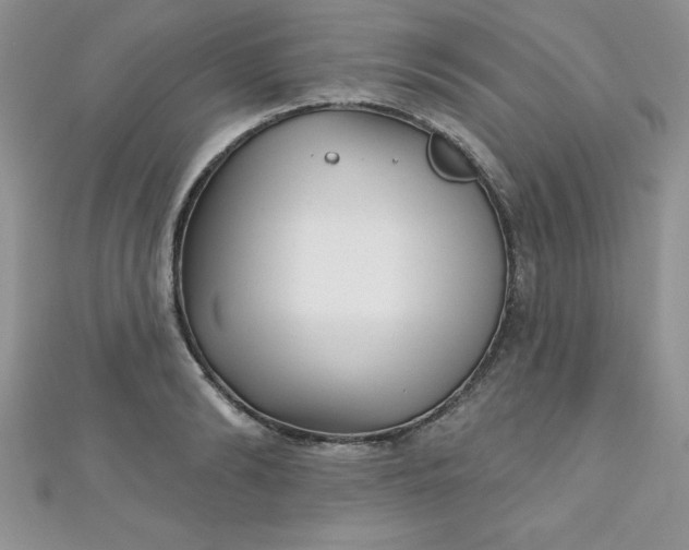 X0000111000894200907022134