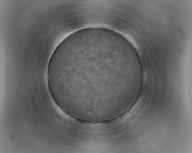 X0000111000895200907022134