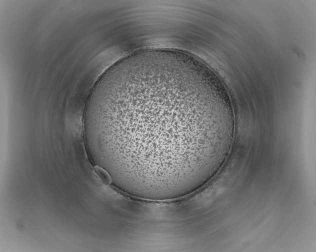 X0000111000897200907022134