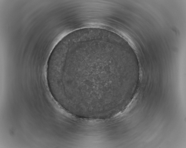 X0000111000899200907022134