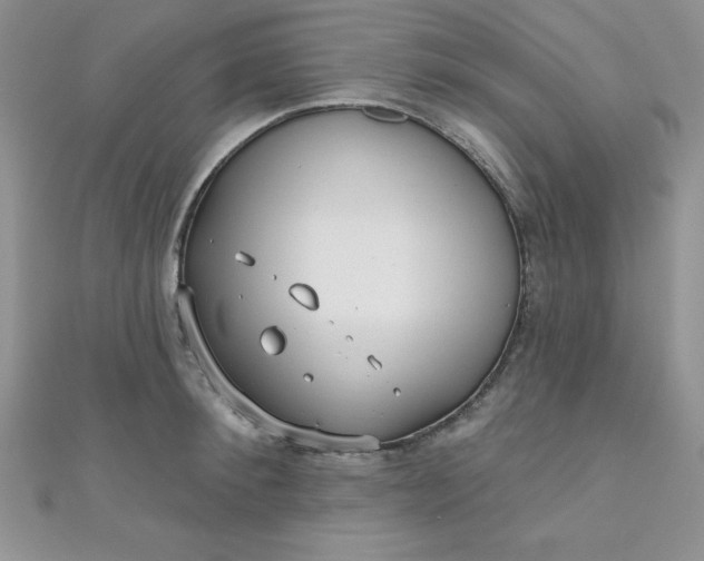 X0000111000900200907022134