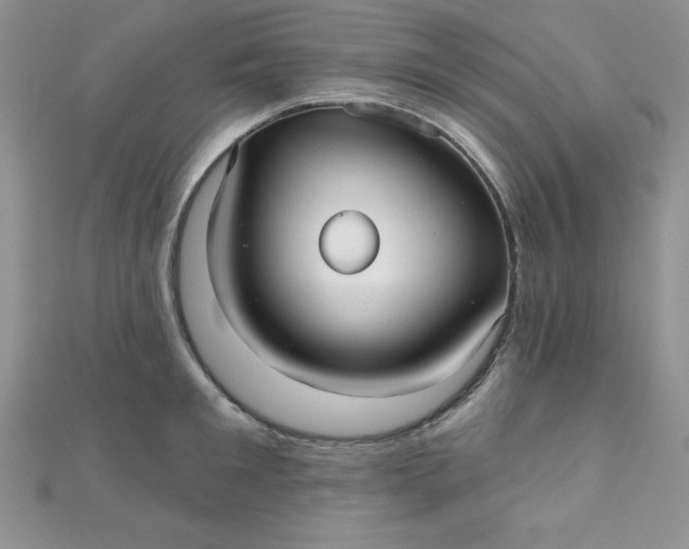 X0000111000901200907022134