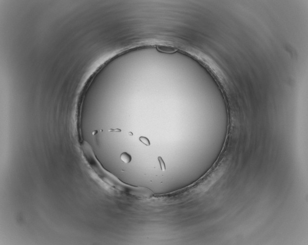 X0000111000902200907022134