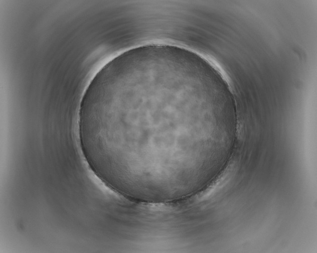 X0000111000903200907022134